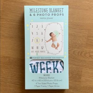 Milestone Blanket and 6 Photo Props